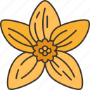 bidens, flower, blossom, yellow, petals