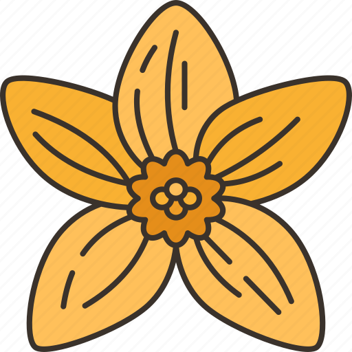 Bidens, flower, blossom, yellow, petals icon - Download on Iconfinder
