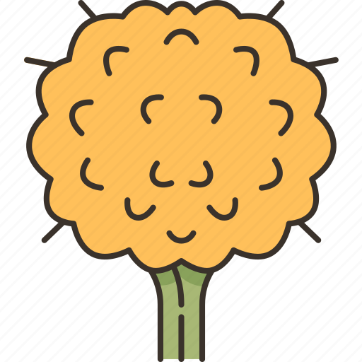 Billy, buttons, flower, yellow, blossom icon - Download on Iconfinder