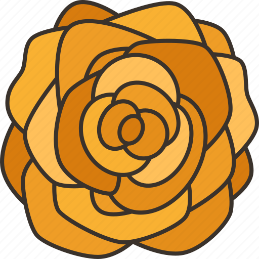 Rose, flower, blossom, petal, botanical icon - Download on Iconfinder