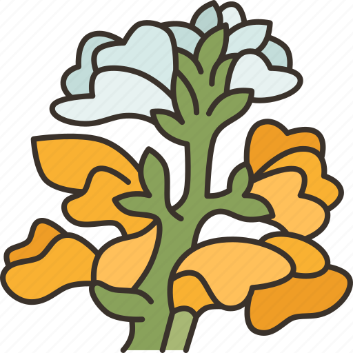 Snapdragons, flower, blooms, colorful, garden icon - Download on Iconfinder