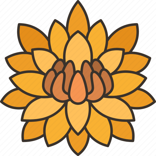 Water, lily, flower, aquatic, blossom icon - Download on Iconfinder