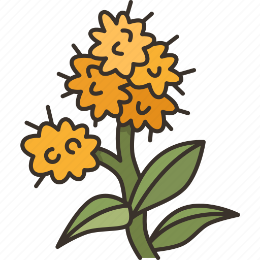 Golden, rod, flower, blossom, yellow icon - Download on Iconfinder