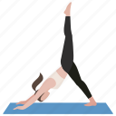 exercise, one legged dolphin, pose, workout, yoga, yoga19