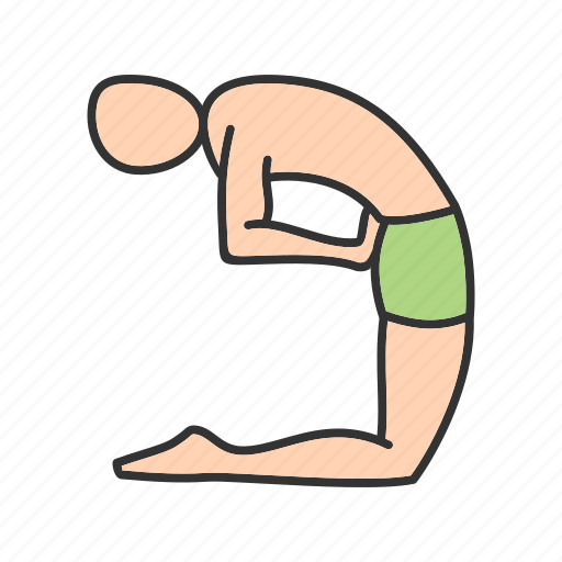 Back, body, camel, fitness, healthy, pose, yoga icon - Download on Iconfinder