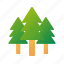 forest, tree, nature, pine 