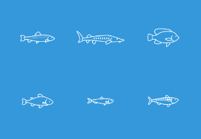 Fish Species Icon Set