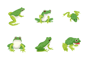 Flat Frog