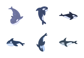 Killer whale