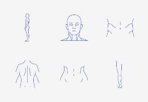 Parts of the Body - Add-On