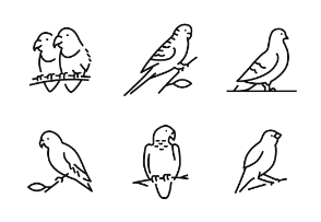Pet birds - Highlight Monochrome