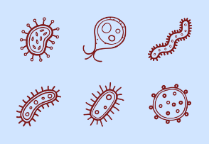 Virus & Bacteria